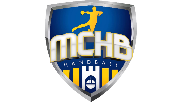 PIXEL Assistance partenaire du Montélimar Club Handball